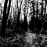 A blurry, pixelated black and white forest trail extending to the left, surrounded by trees. The Path of Mars.